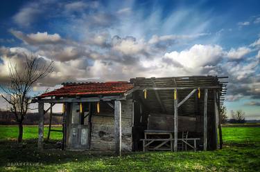 An old hut in a green field at the beginning of spring. thumb