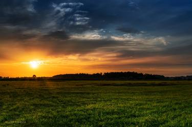 Sunset in the field thumb