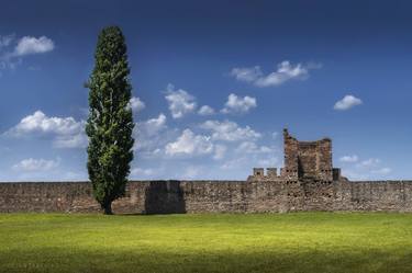 Lonely tree by the fortress walls image