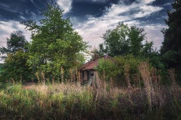 An abandoned hut hidden in the bushes thumb