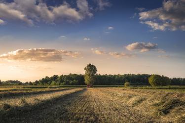 A small old hut at the end of the field of mown hay thumb