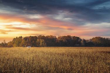 Small old hut in the middle of corn field at sunset thumb