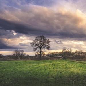 Collection Spring fields