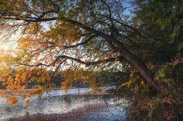 Here comes the autumn on the small lake thumb