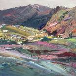 Collection Landscapes