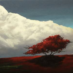 Collection The Great Outdoors