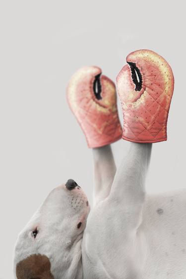 Print of Dogs Photography by Rafael Mantesso