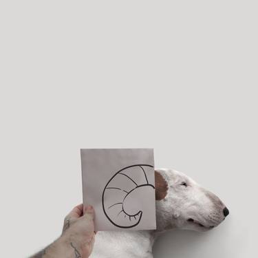 Print of Dogs Photography by Rafael Mantesso