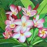 Collection Plumeria, original, Realistic, oil on canvas paintings