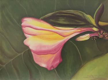 Print of Floral Paintings by Shobitha Hariharan