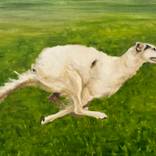 “Lighting” greyhound borzoi oil painting on canvas by Anna Bila