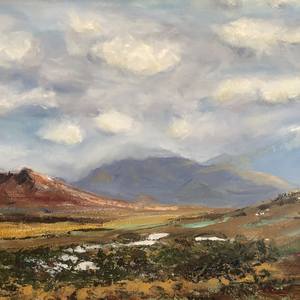 Collection South African Landscapes