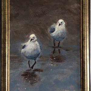 Collection Birds in Oils