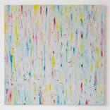 Hidden Poppies by Julie Anderson Mathias
