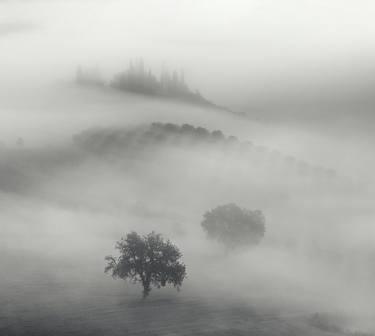Two trees, 2021. «Tuscany. Misty Land» collection thumb