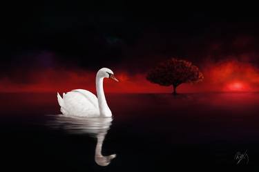 Sunset Swan - Limited Edition of 100 thumb