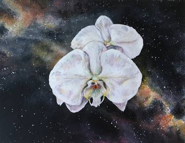 Orchids in Outer Space thumb