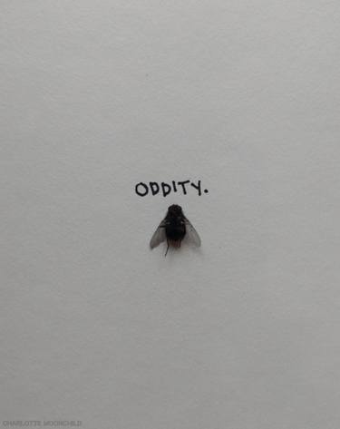 'Oddity.' thumb