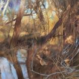 Collection Landscape