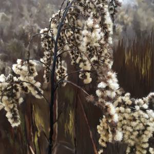 Collection Landscape