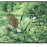 Collection Linocuts