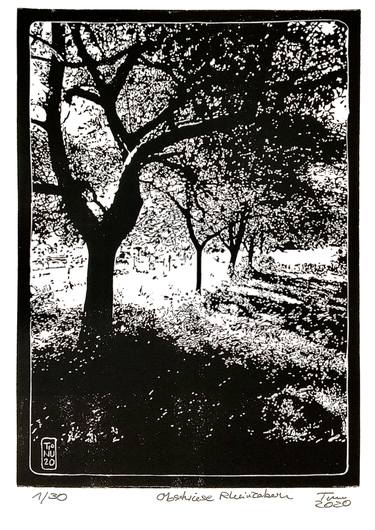 Original Fine Art Landscape Printmaking by Tina Numberger