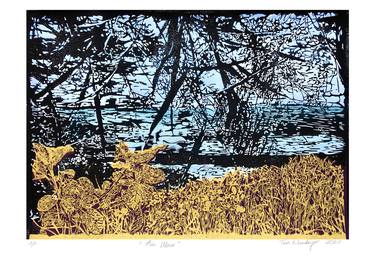 Print of Landscape Printmaking by Tina Numberger