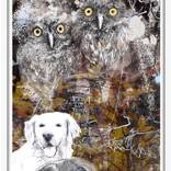 Collection Animals