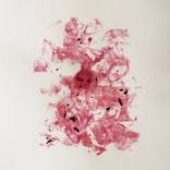 Beet /2 by ART WITHOUT FACE