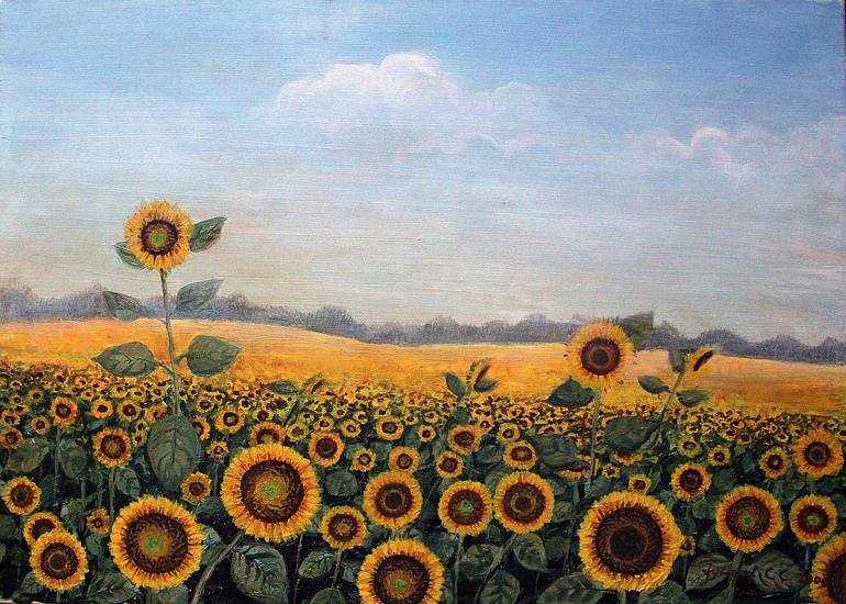 Field of sunflowers. Painting by Sergei Gusarov  Saatchi Art