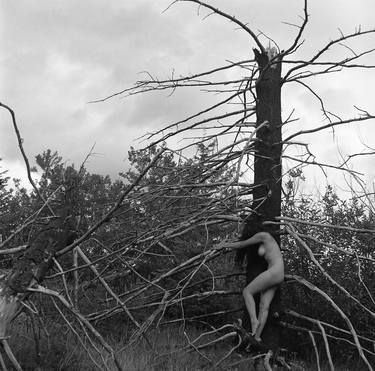 Nude - Tree Shadow, Silver Gelatin Print - Limited Edition of 15 thumb