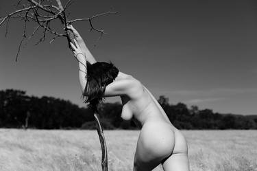 Nude - The Lone Tree, Silver Gelatin Print - Limited Edition of 15 thumb