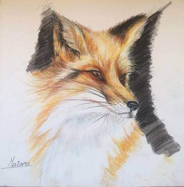 Print of Fine Art Animal Drawings by Marwa Abdelhamid