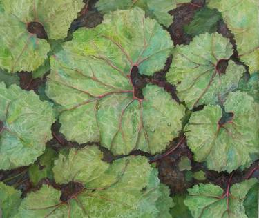 Original Fine Art Nature Paintings by Cindy Sacks