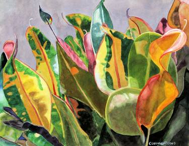Print of Realism Botanic Paintings by Cory Clifford