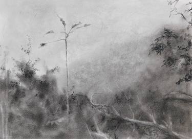 Print of Fine Art Landscape Drawings by Gulsum Tokbayeva