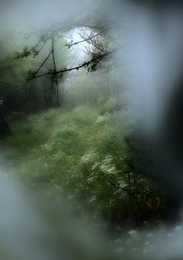 Original Photorealism Nature Photography by Kristina Nikolova