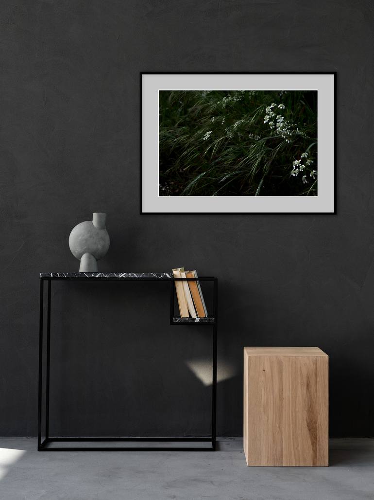 Original Photorealism Nature Photography by Kristina Nikolova