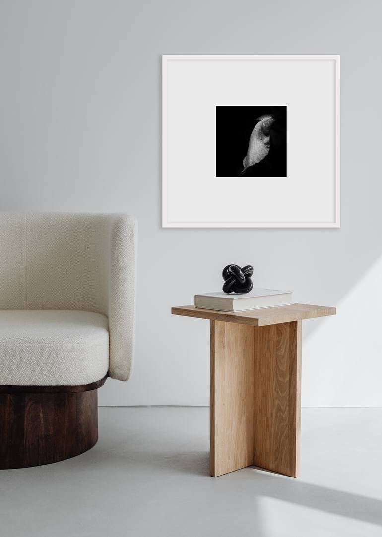 Original Figurative Floral Photography by Kristina Nikolova