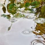 Collection Rain on Water Series