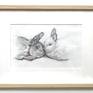 People all over the world think rabbits bring good fortune, especially on the first of the month. Need a good luck charm? Graphite drawing of two bonded rabbits nuzzling. Framed in matted oiled blond wood. Both mat and paper are acid free.