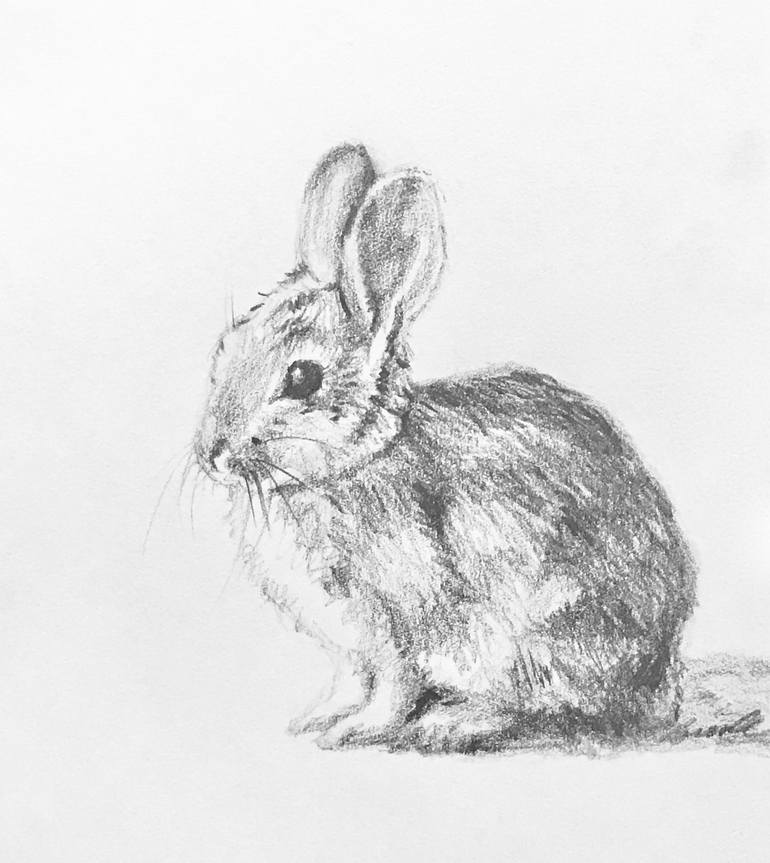 April Showers Bring Baby Bunnies Drawing By Bronle Crosby 