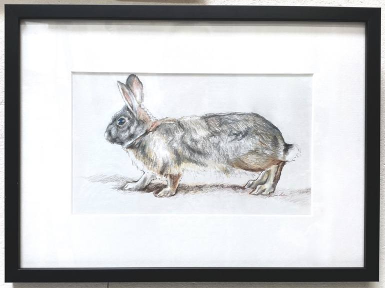 Original Illustration Animal Drawing by Bronle Crosby