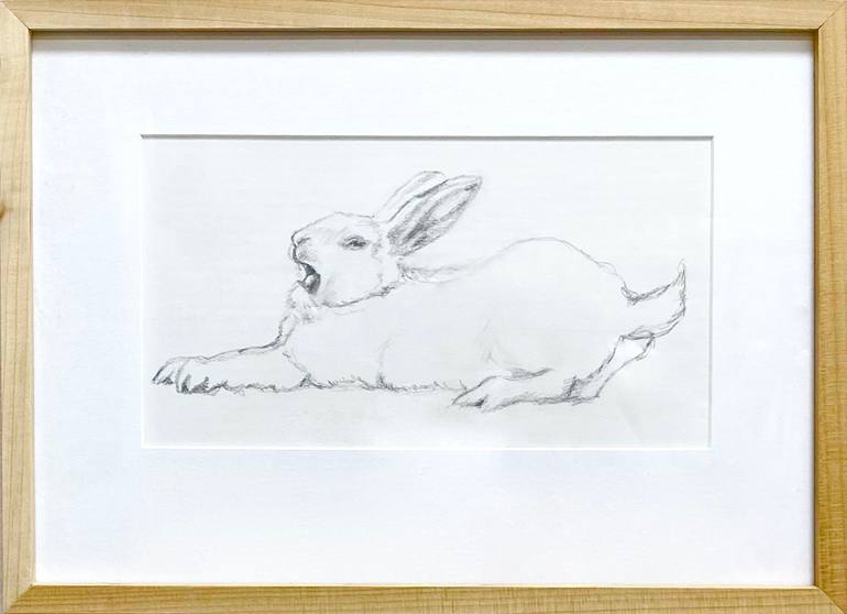 Original Illustration Animal Drawing by Bronle Crosby