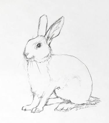 Original Figurative Animal Drawings by Bronle Crosby