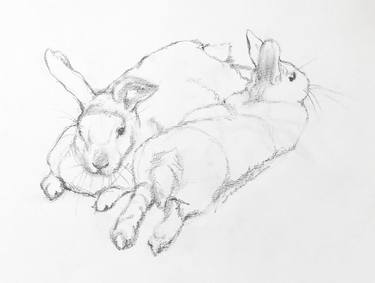 Original Figurative Animal Drawings by Bronle Crosby