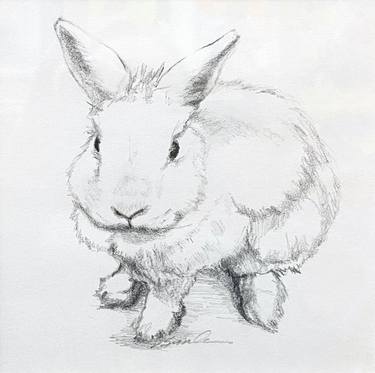 Original Figurative Animal Drawings by Bronle Crosby