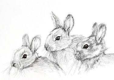 Original Animal Drawings by Bronle Crosby