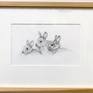 People all over the world think rabbits bring good fortune, especially on the first of the month. Need a good luck charm? Graphite drawing of our resident triplets, the Leaping Lagomorphs—aka Guido, Luigi, and Bob—send three-fold wishes for goodwill and good fortune your way. Framed in matted oiled blond wood. Both mat and paper are acid free.