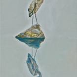 Collection Eggs and Feathers